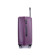 3 Piece Luggage Sets: Lightweight Suitcase with Hooks, 360° Double Spinner Wheels, TSA Lock (21/25/29) - Dark Purple