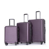 3 Piece Luggage Sets with Spinner Wheels, TSA Lock, Lightweight ABS Suitcase - Purple (20/24/28)