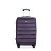 Expandable 3 Piece ABS Luggage Set with Spinner Wheels, TSA Lock, Lightweight Suitcase, Purple (20/24/28)