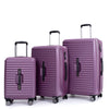 3 Piece Luggage Sets: Lightweight Suitcase with Hooks, 360° Double Spinner Wheels, TSA Lock (21/25/29) - Dark Purple