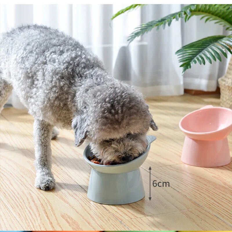 Pet Food Bowl