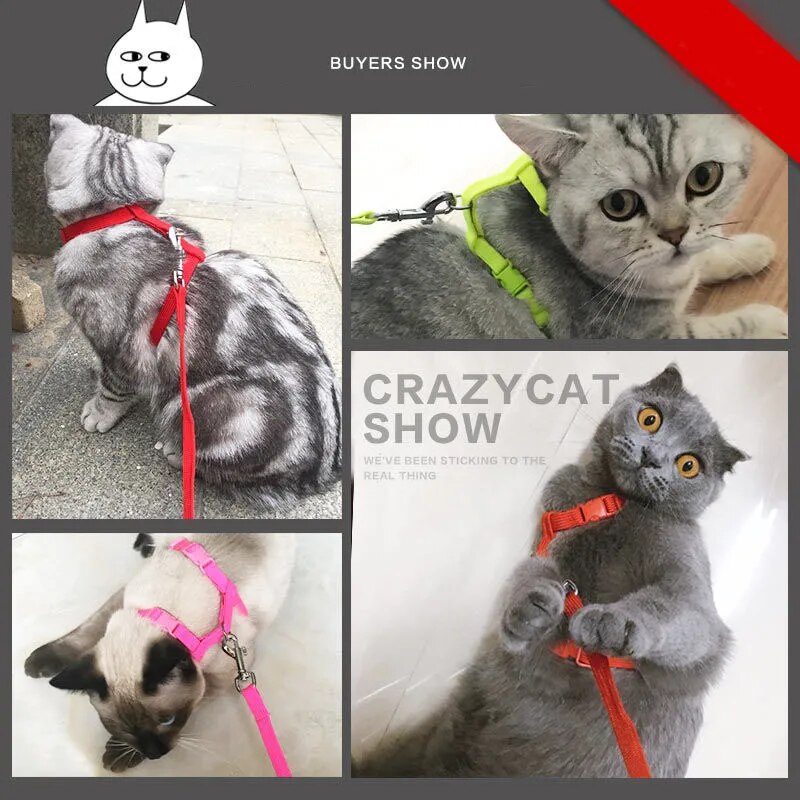 Escape-proof Small Dog Cat Harness Collar