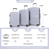 Hardshell Suitcase Double Spinner Wheels, Lightweight, Durable with TSA Lock, 3-Piece Set (20/24/28), Silver