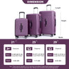 3 Piece Luggage Sets: Lightweight Suitcase with Hooks, 360° Double Spinner Wheels, TSA Lock (21/25/29) - Dark Purple